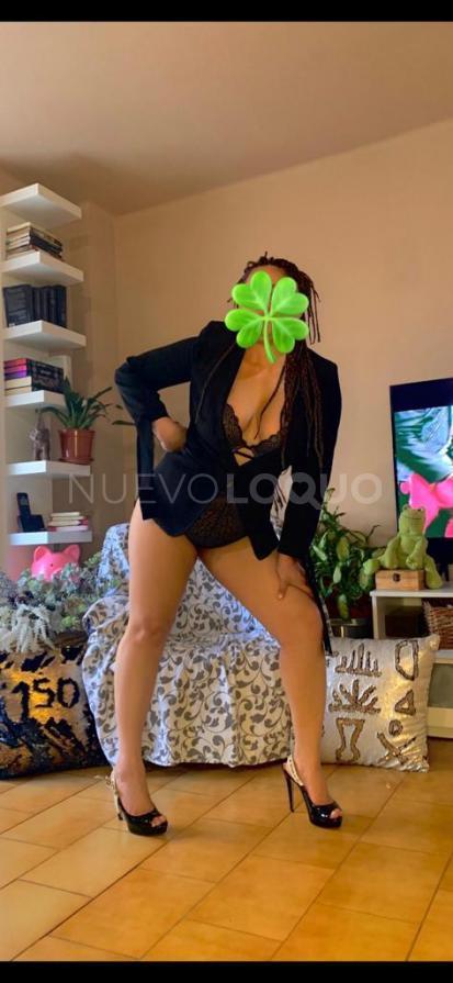 NuevoLoquo4
