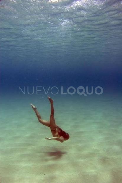 NuevoLoquo1