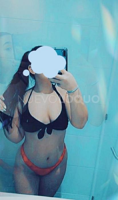NuevoLoquo3