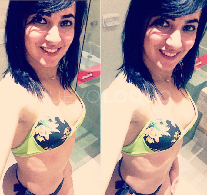 NuevoLoquo3