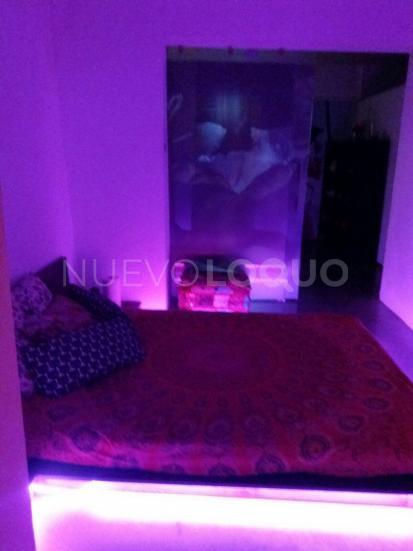 NuevoLoquo2
