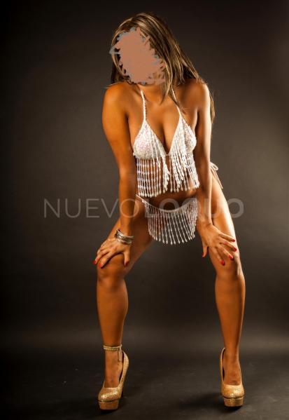 NuevoLoquo2