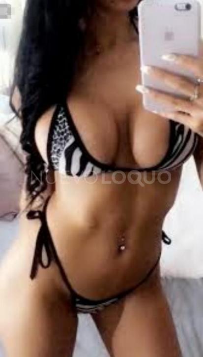 NuevoLoquo2