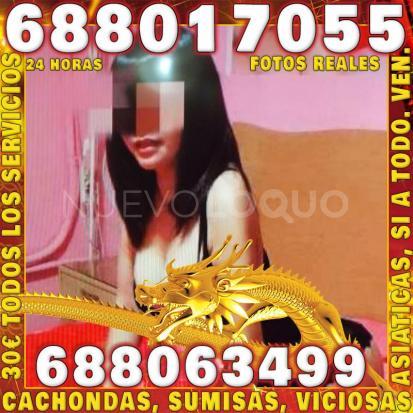 NuevoLoquo0