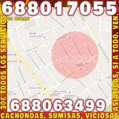 NuevoLoquo4