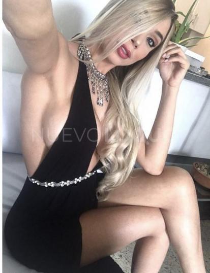NuevoLoquo2