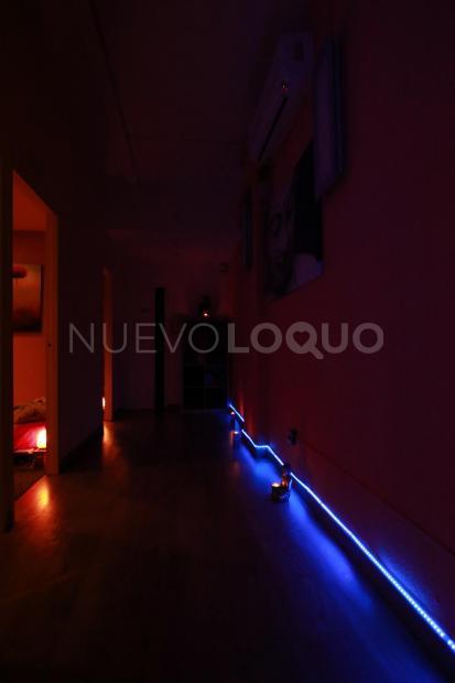 NuevoLoquo5