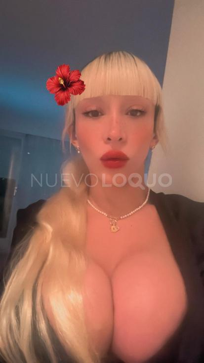 NuevoLoquo1