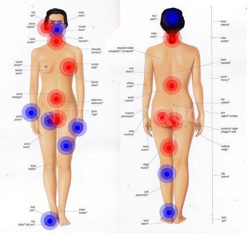  masajista erótico solo para MUJERES