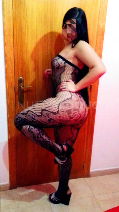  Novedad latina violeta