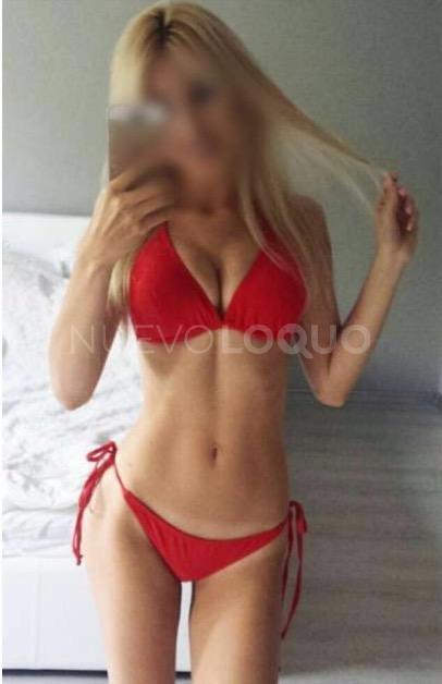NuevoLoquo3
