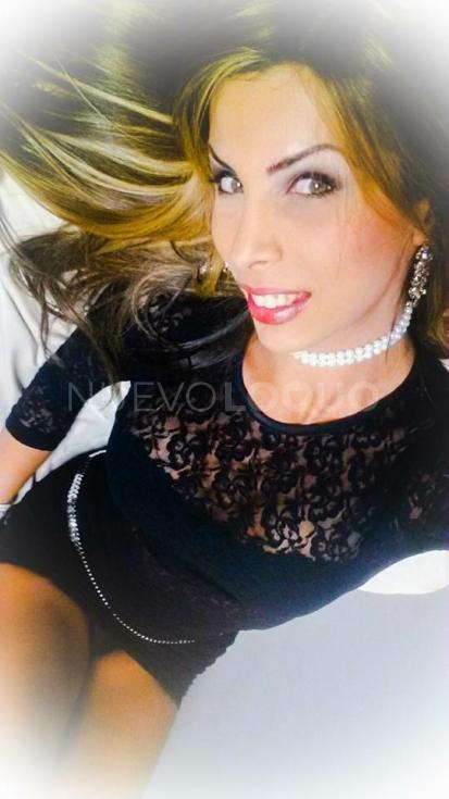 NuevoLoquo3