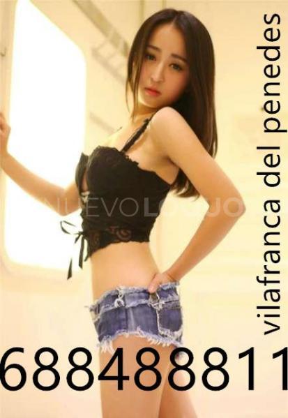 NuevoLoquo3