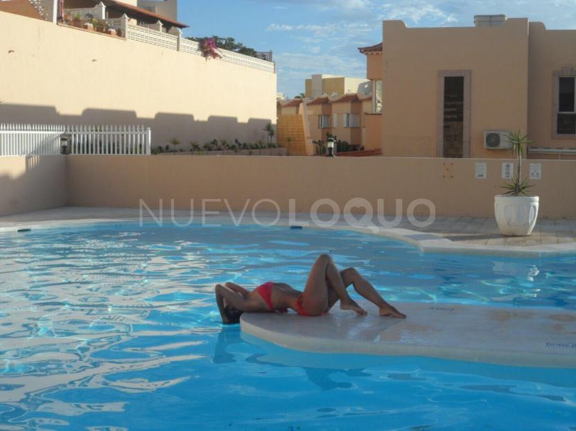 NuevoLoquo2