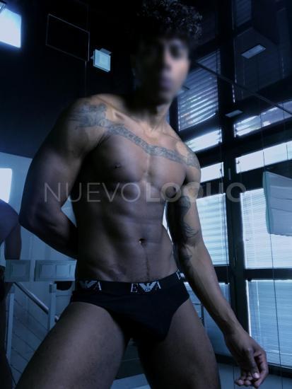NuevoLoquo3