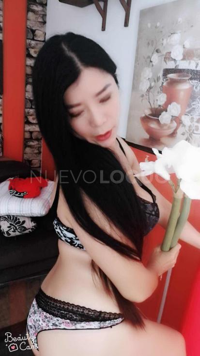 NuevoLoquo3
