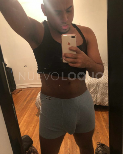 NuevoLoquo1