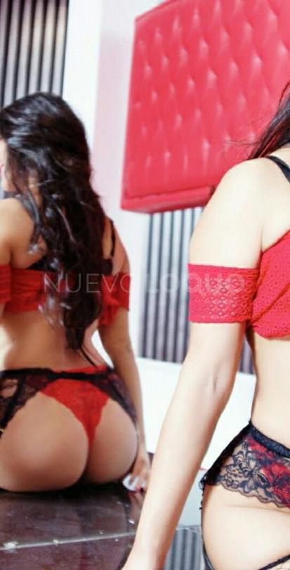 NuevoLoquo2