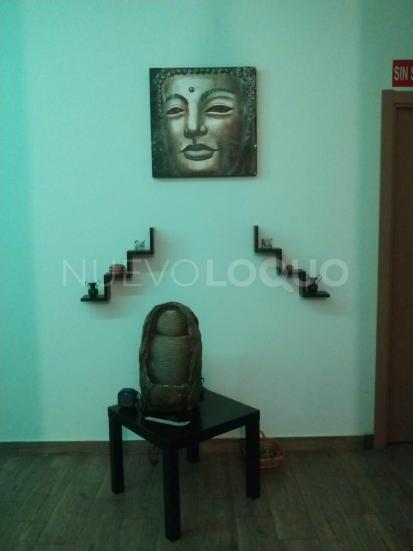 NuevoLoquo3