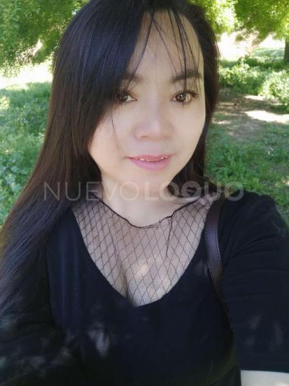 NuevoLoquo3