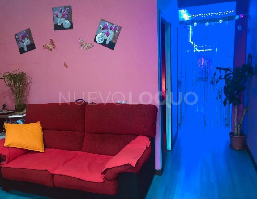 NuevoLoquo4