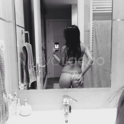 NuevoLoquo1