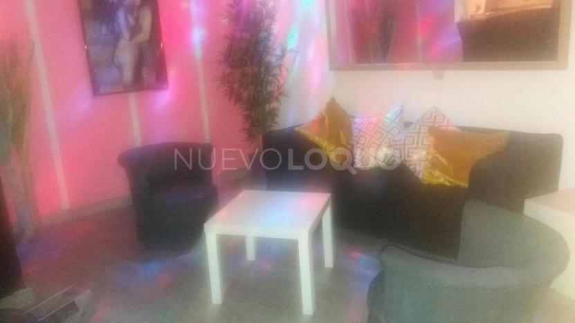 NuevoLoquo2