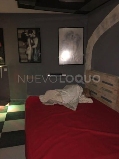 NuevoLoquo2
