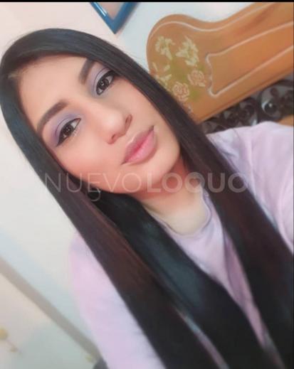 NuevoLoquo2