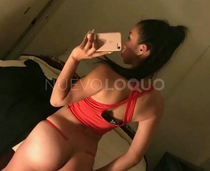 NuevoLoquo4