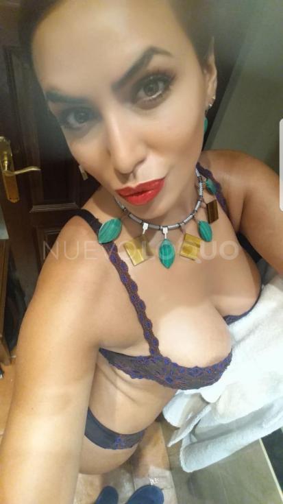 NuevoLoquo5