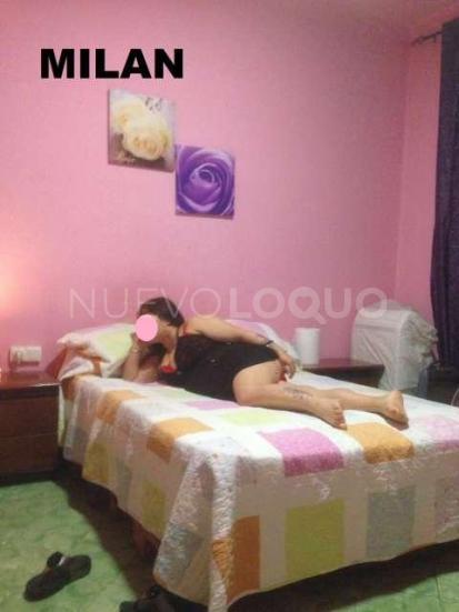NuevoLoquo3