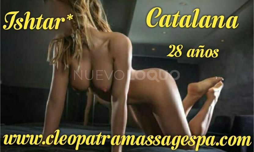 NuevoLoquo3