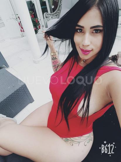 NuevoLoquo2