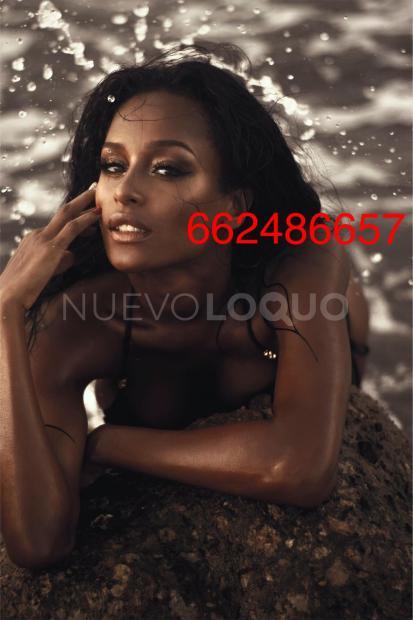 NuevoLoquo4