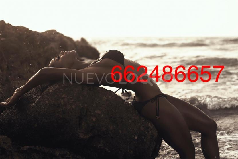 NuevoLoquo5