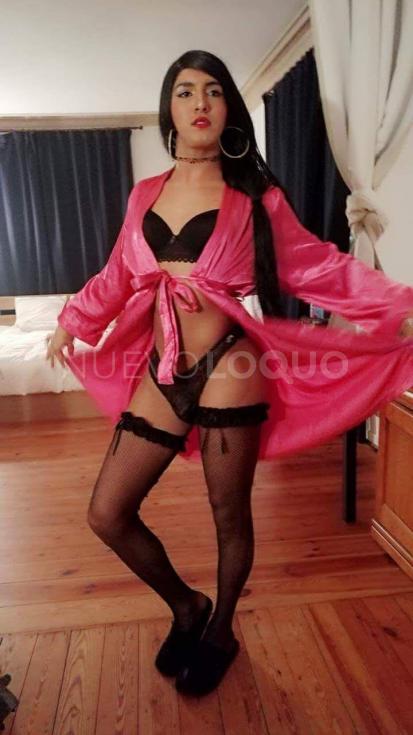 NuevoLoquo2