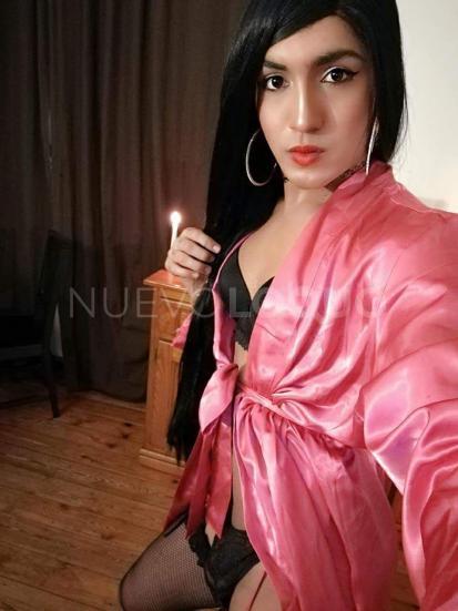 NuevoLoquo3