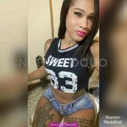 NuevoLoquo3