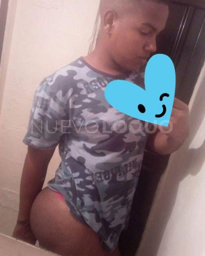NuevoLoquo2