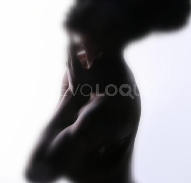 NuevoLoquo1