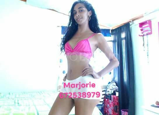 NuevoLoquo2