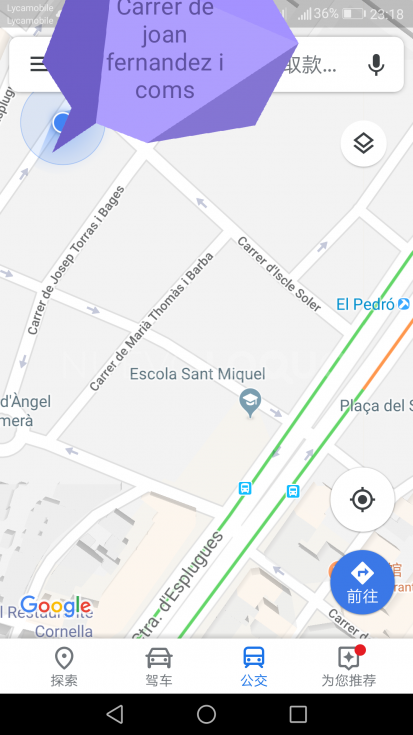 NuevoLoquo4