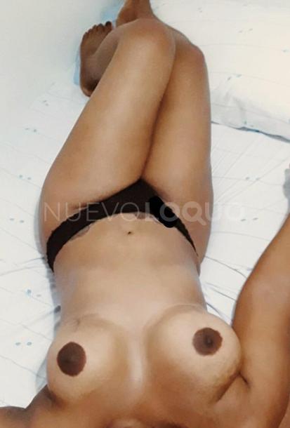 NuevoLoquo2