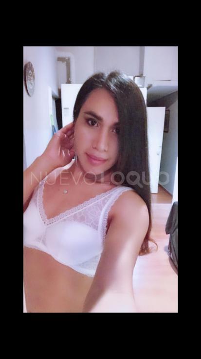 NuevoLoquo3