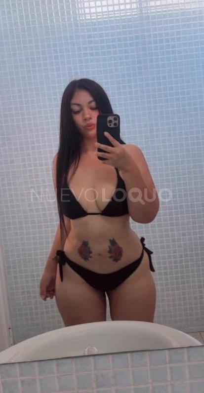 NuevoLoquo1