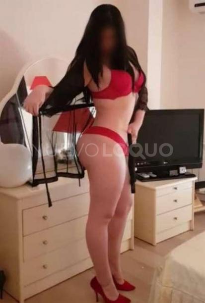 NuevoLoquo2