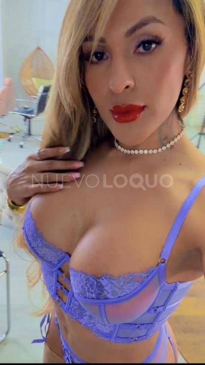 NuevoLoquo4