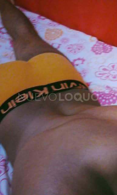 NuevoLoquo3