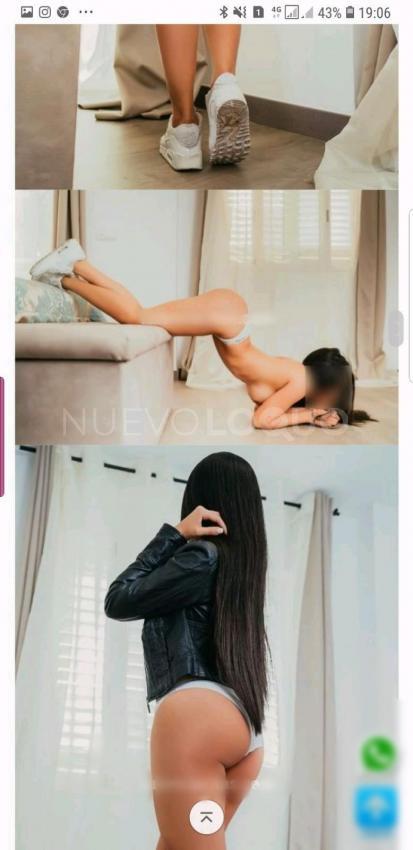NuevoLoquo2